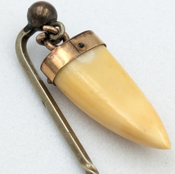 Antique Victorian 1800s British Raj Hunting Trophy Tooth Stick Pin Brooch - Picture 8 of 10